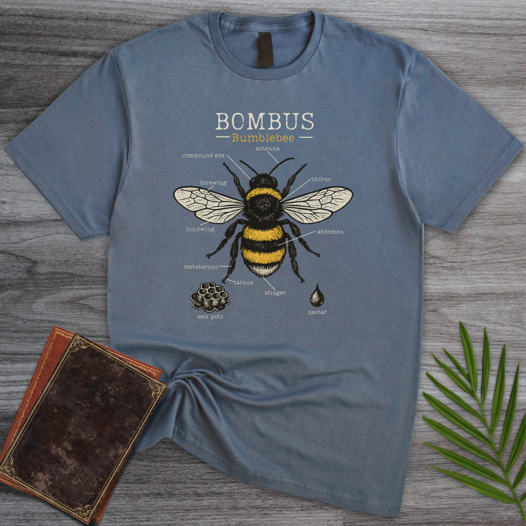 Bombus Bumblebee Anatomy T-Shirt