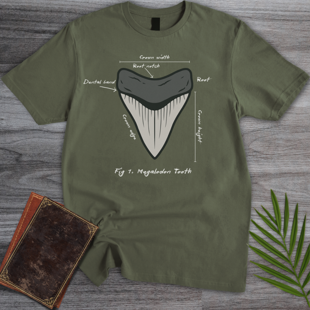 Figure 1: Megalodon Tooth T-Shirt