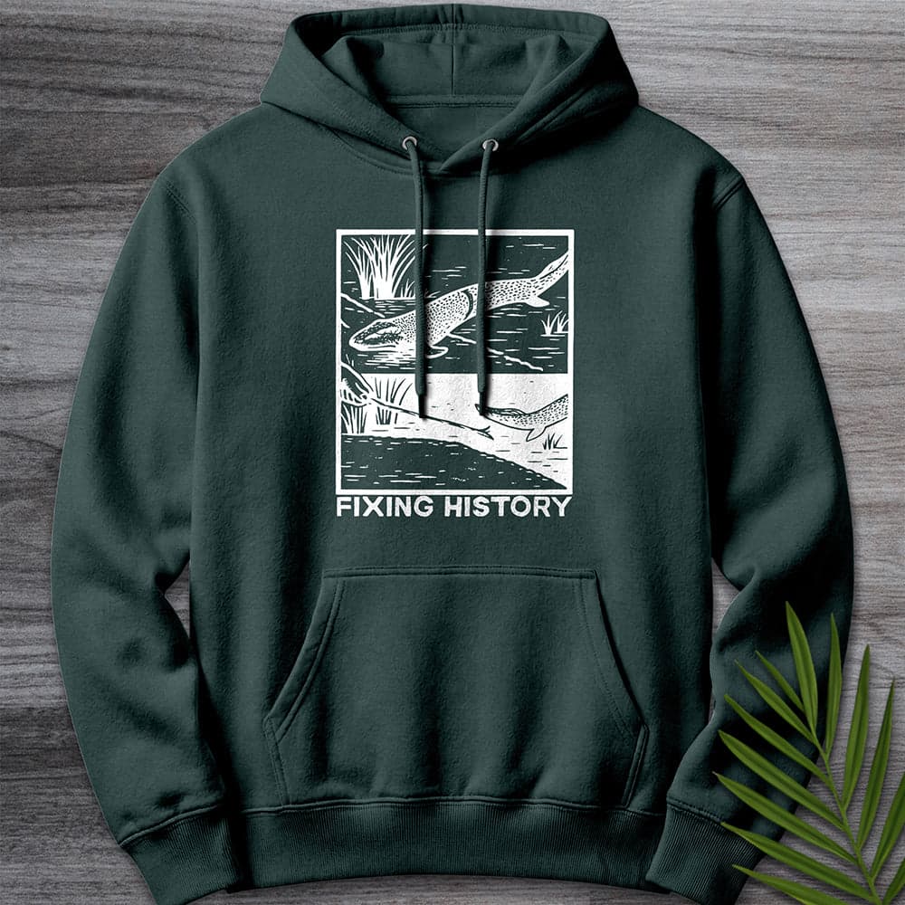 Hoodie S / Sports Green Devonian Time Travel Premium Hoodie