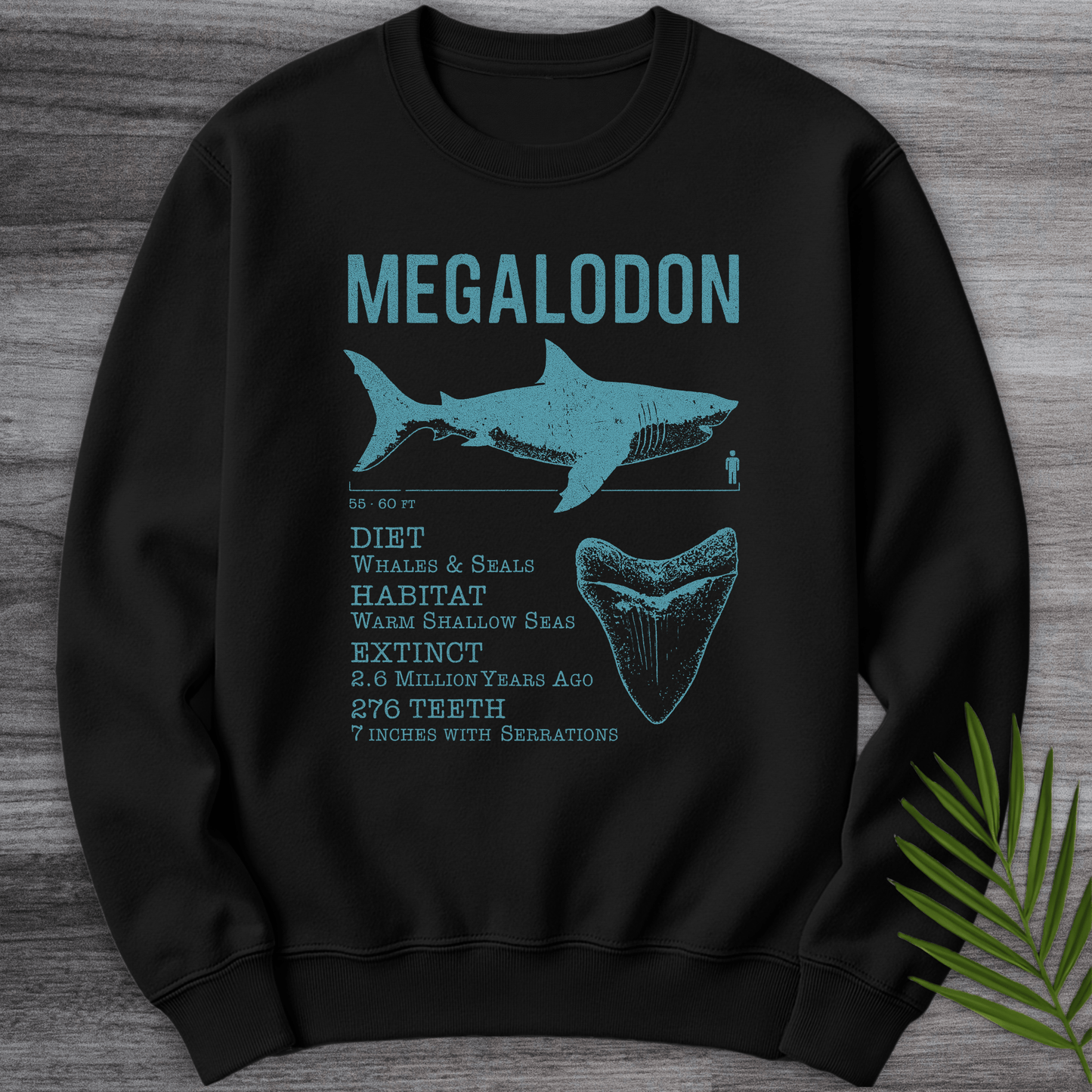 Sweatshirt Black / S Megalodon: Leviathan of the Shallows Crewneck