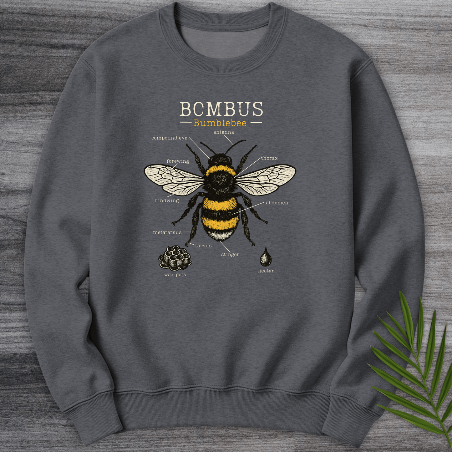 Sweatshirt Dark Heather / S Bombus Bumblebee Anatomy Crewneck
