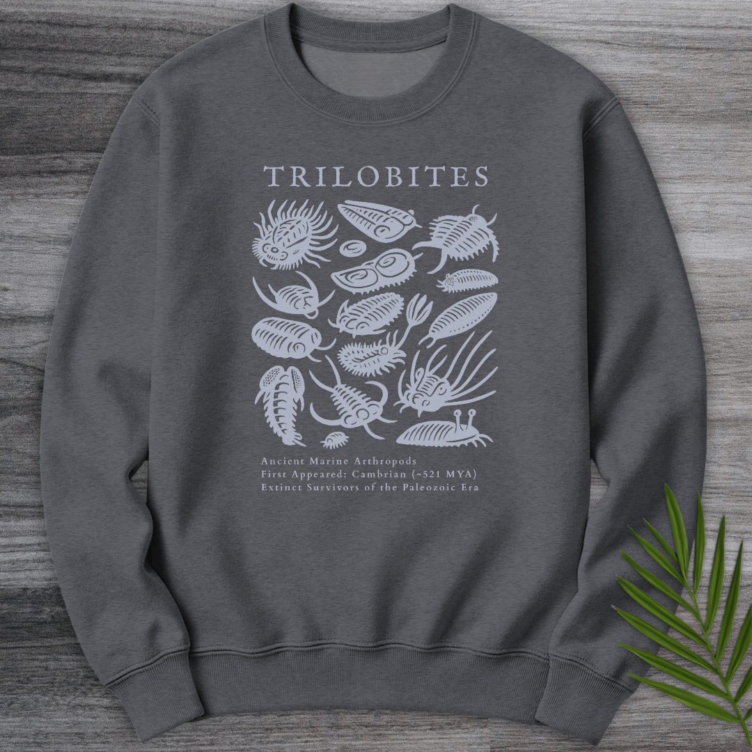 Sweatshirt Dark Heather / S Elements of the Trilobites Crewneck