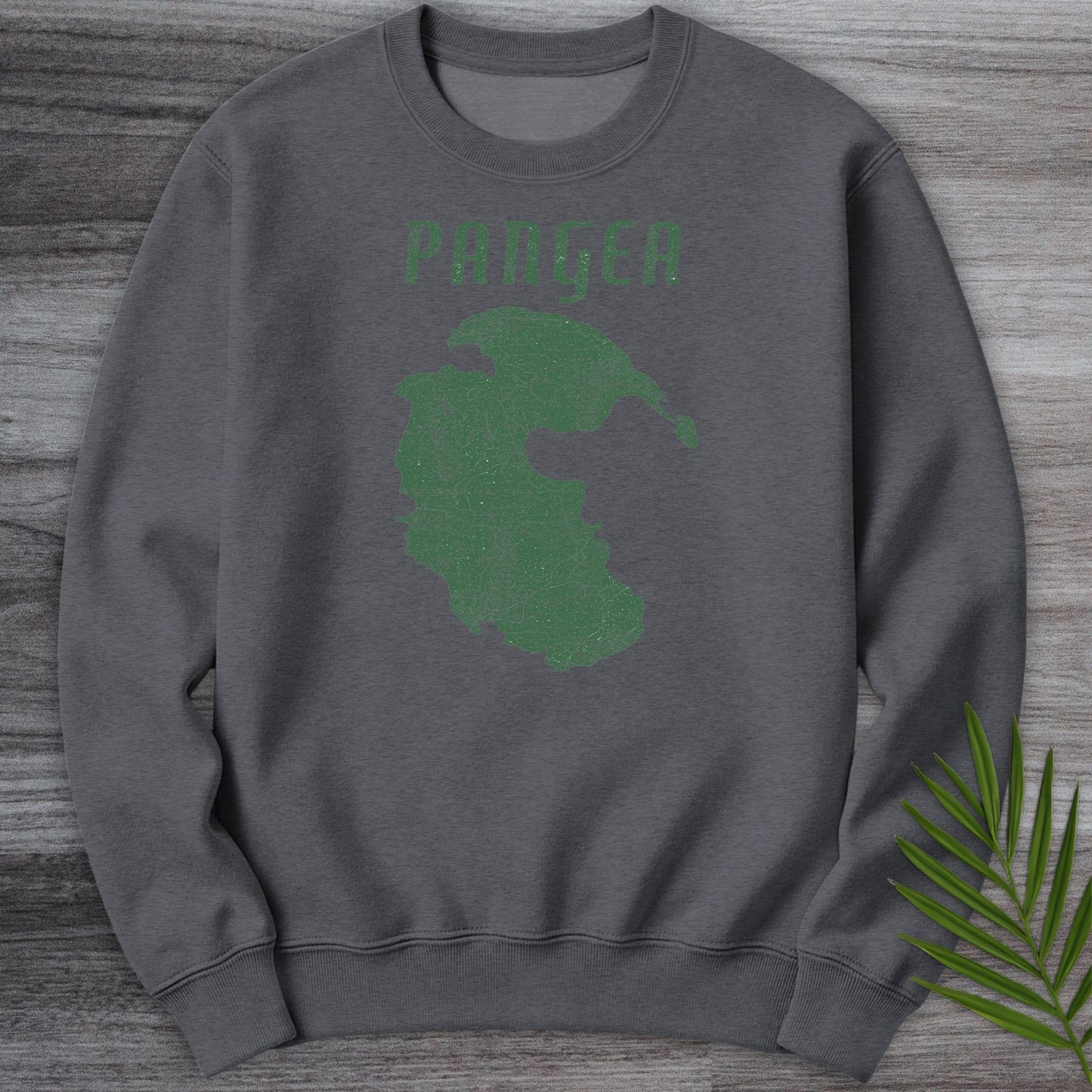 Sweatshirt Dark Heather / S Vintage Distressed Pangea Crewneck