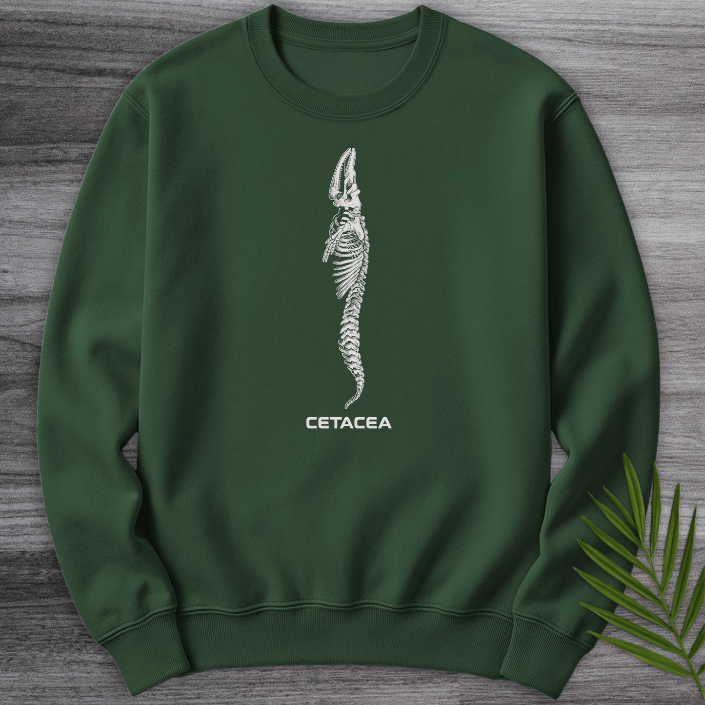 Sweatshirt Forest Green / S Cetacea Whale Skeleton Crewneck