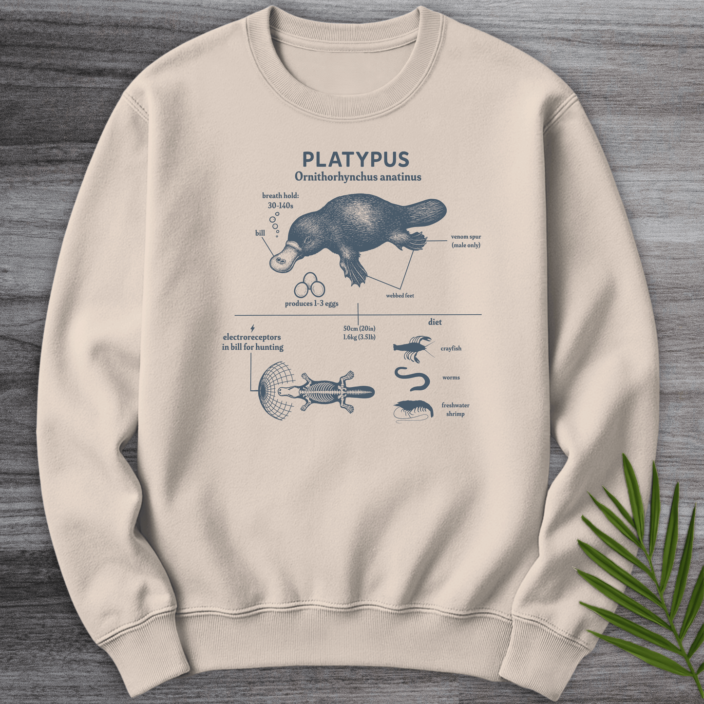 Sweatshirt Sand / S Ornithorhynchus Anatinus ( Platypus) Crewneck