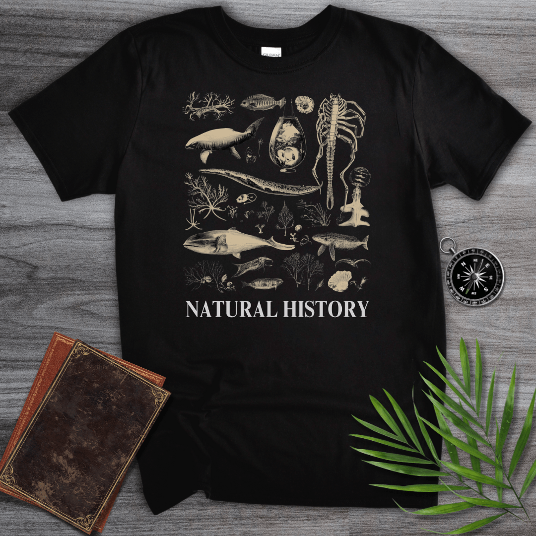 T-Shirt Black / S Natural History T-Shirt: Prehistoric Fossils