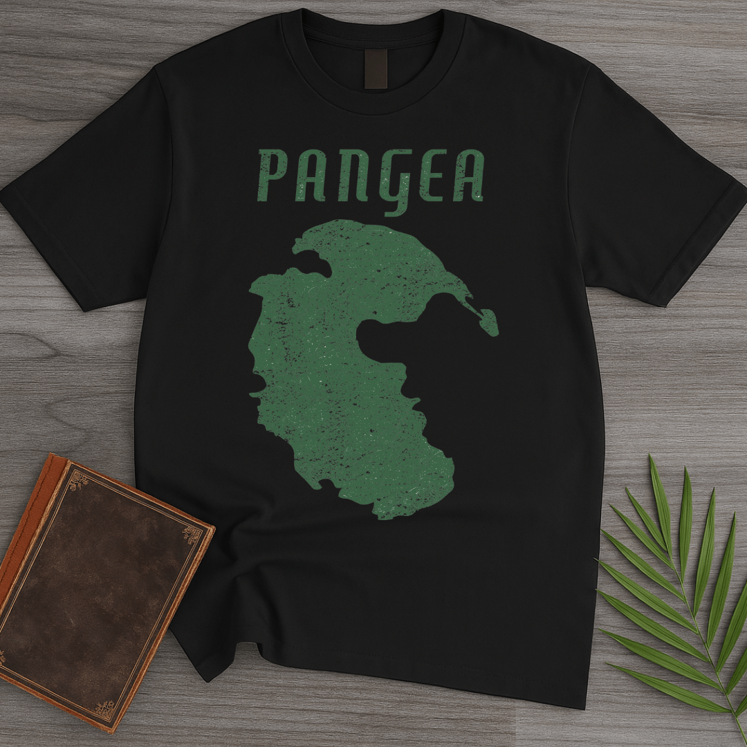 T-Shirt Black / S Vintage Distressed Pangea T-Shirt