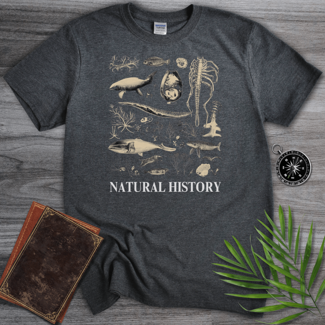 T-Shirt Dark Heather / S Natural History T-Shirt: Prehistoric Fossils