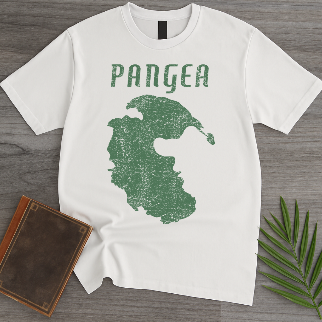 Vintage Distressed Pangea T-Shirt