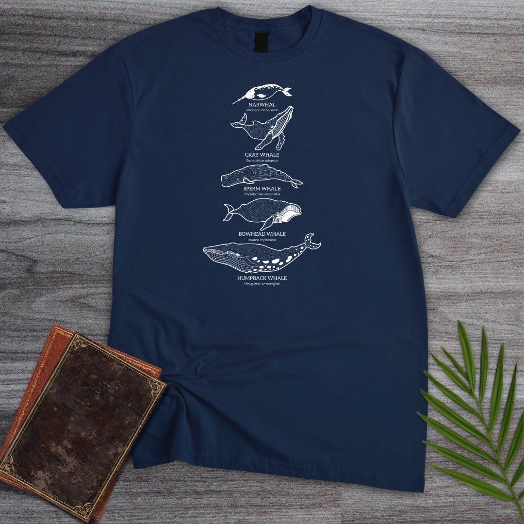 Big Mammal Whale Species T-Shirt