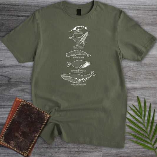 Big Mammal Whale Species T-Shirt