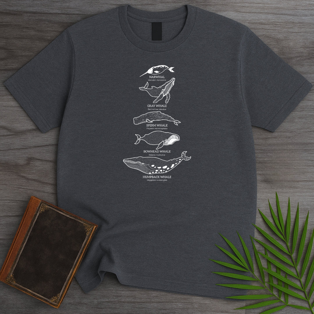 Big Mammal Whale Species T-Shirt