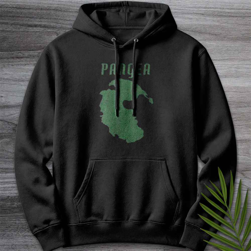 Hoodie XS / Black Vintage Distressed Pangea Premium Hoodie