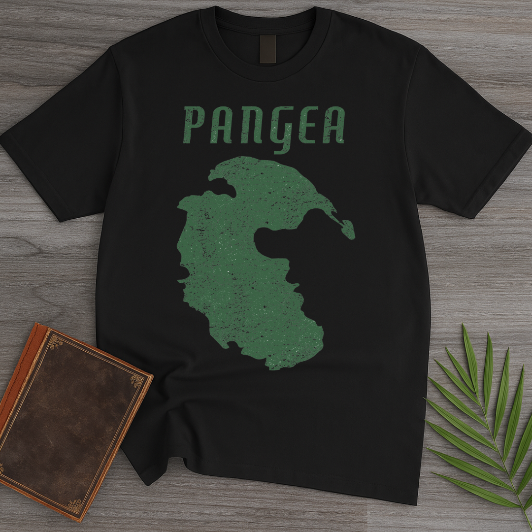 Vintage Distressed Pangea T-Shirt