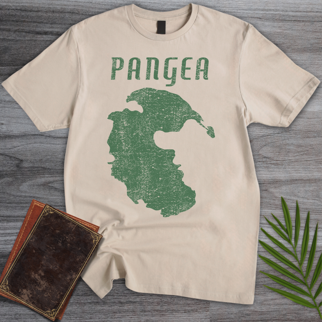 Vintage Distressed Pangea T-Shirt