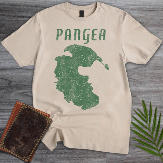 Vintage Distressed Pangea T-Shirt