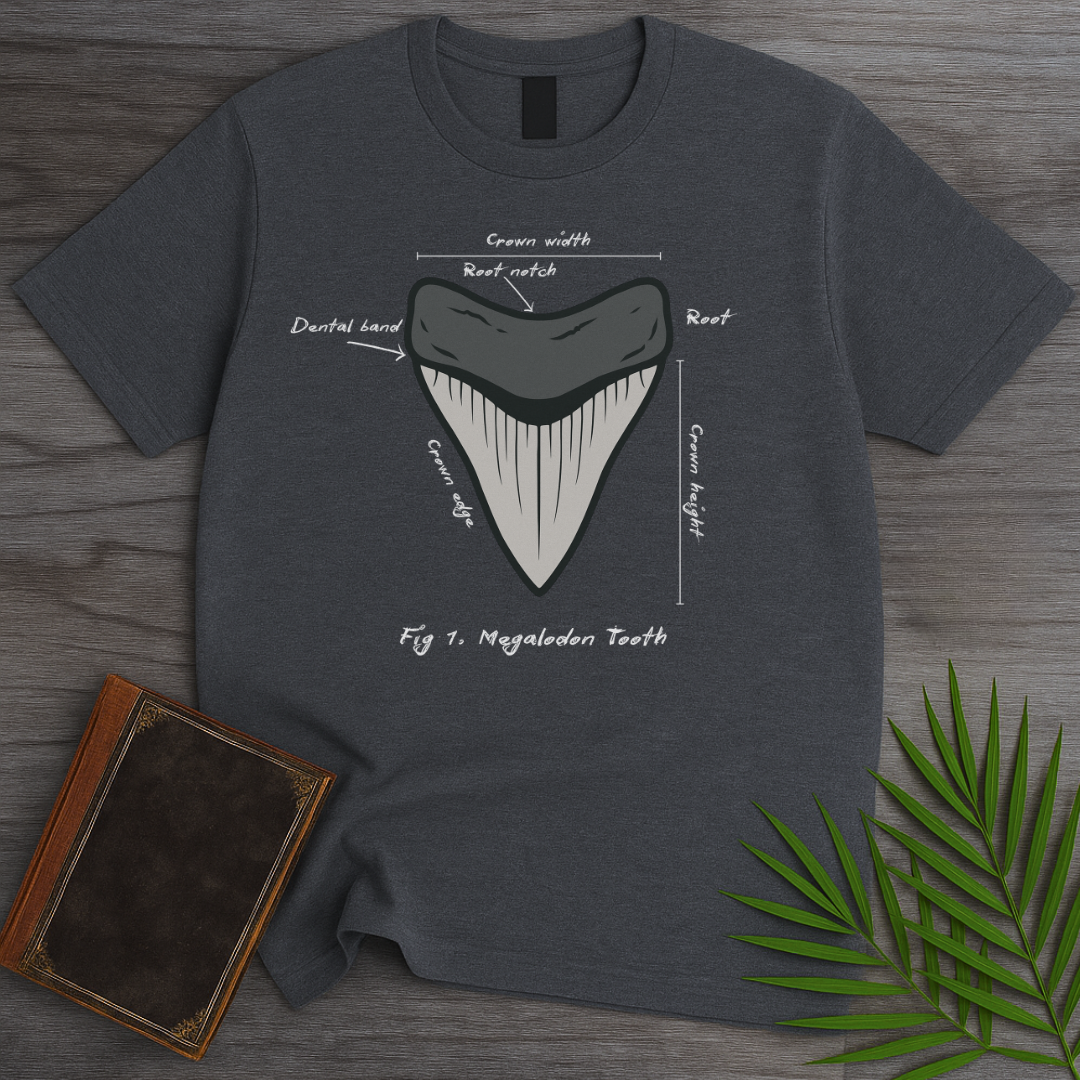 Figure 1: Megalodon Tooth T-Shirt