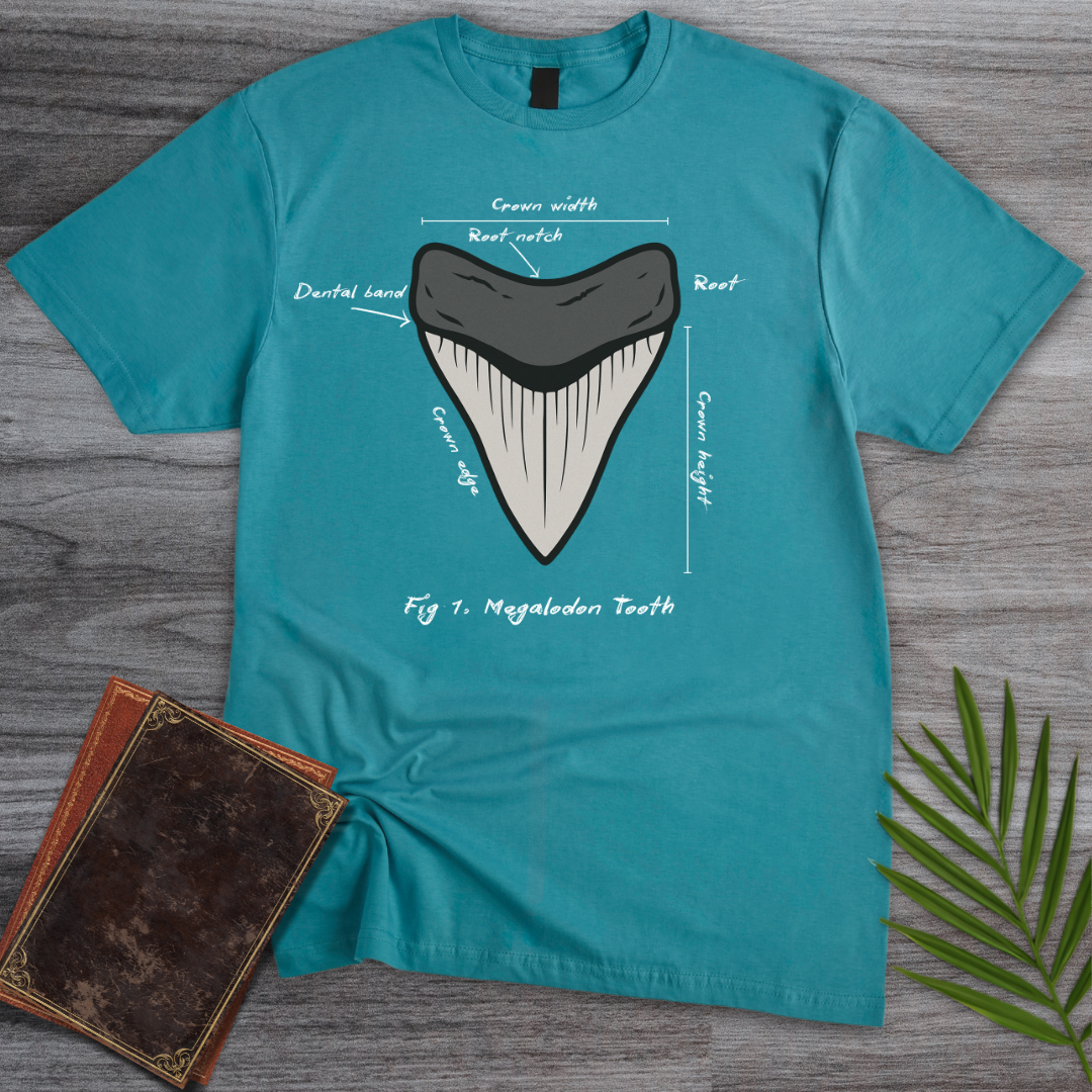 Figure 1: Megalodon Tooth T-Shirt