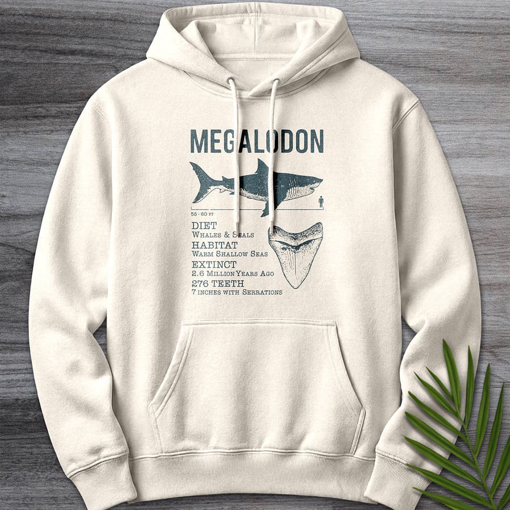 Hoodie S / Sandshell Megalodon: Leviathan of the Shallows Premium Hoodie