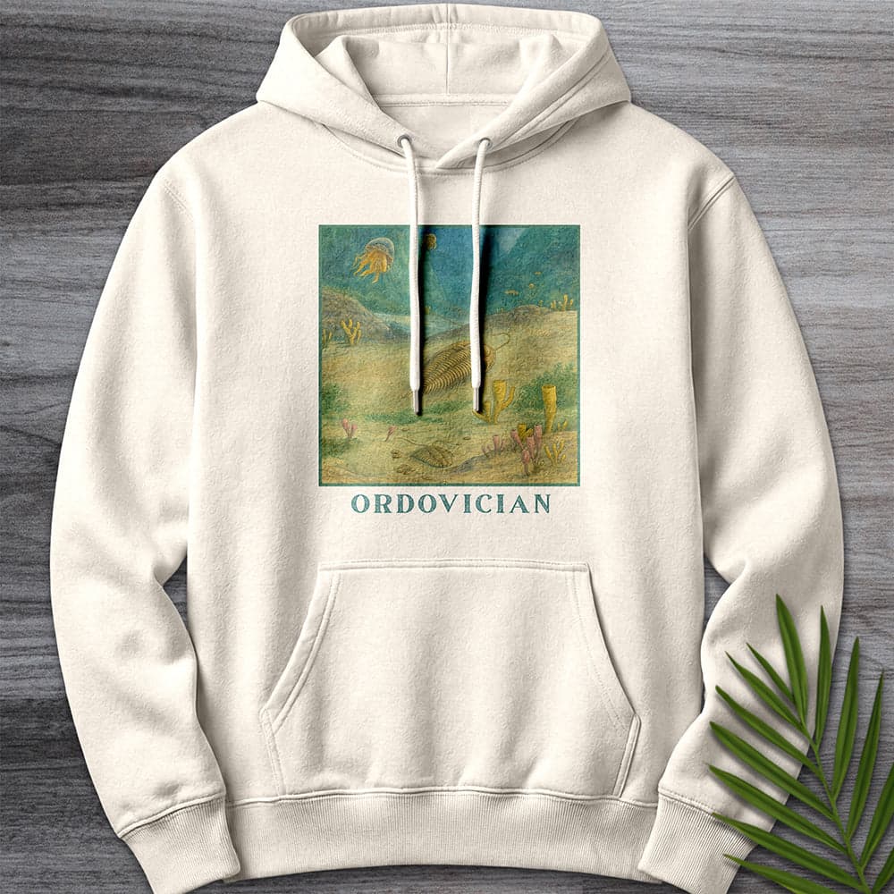 Hoodie S / Sandshell Ordovician Seafloor Premium Hoodie