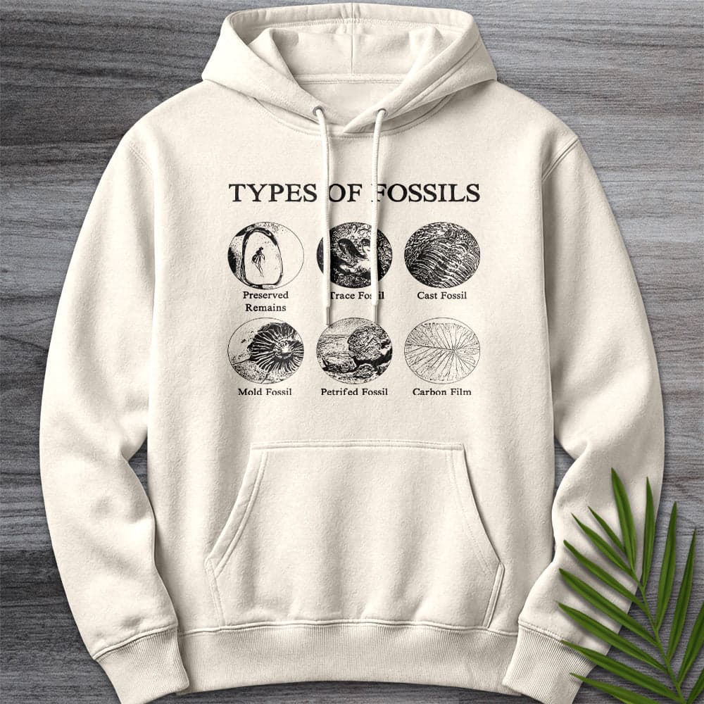 Hoodie S / Sandshell Types of Fossils Premium Hoodie