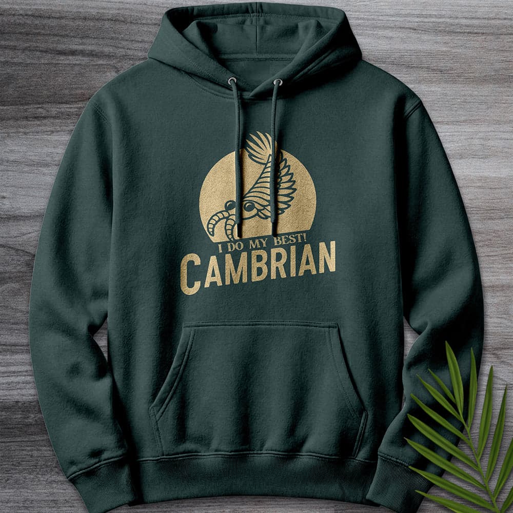 Hoodie S / Sports Green Cambrian: I Do My Best Premium Hoodie