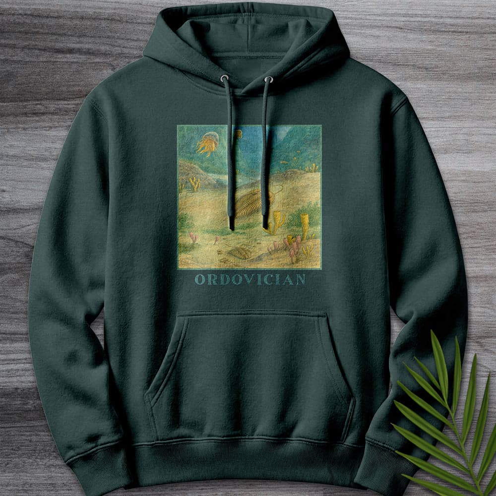 Hoodie S / Sports Green Ordovician Seafloor Premium Hoodie