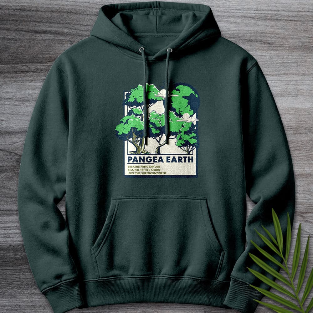 Hoodie S / Sports Green Pangea Earth Illustration Premium Hoodie