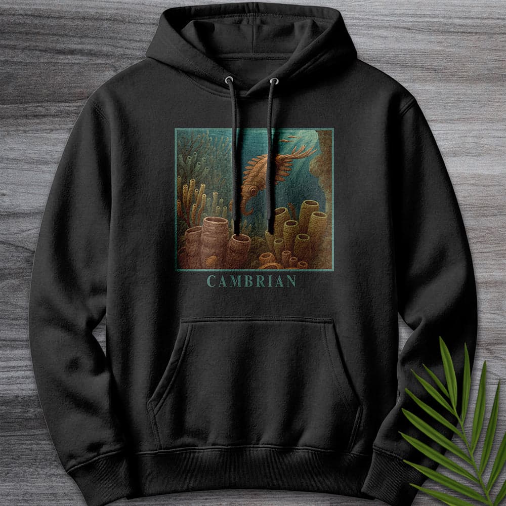 Hoodie XS / Black Anomalocaris Cambrian Oceanscape Premium Hoodie