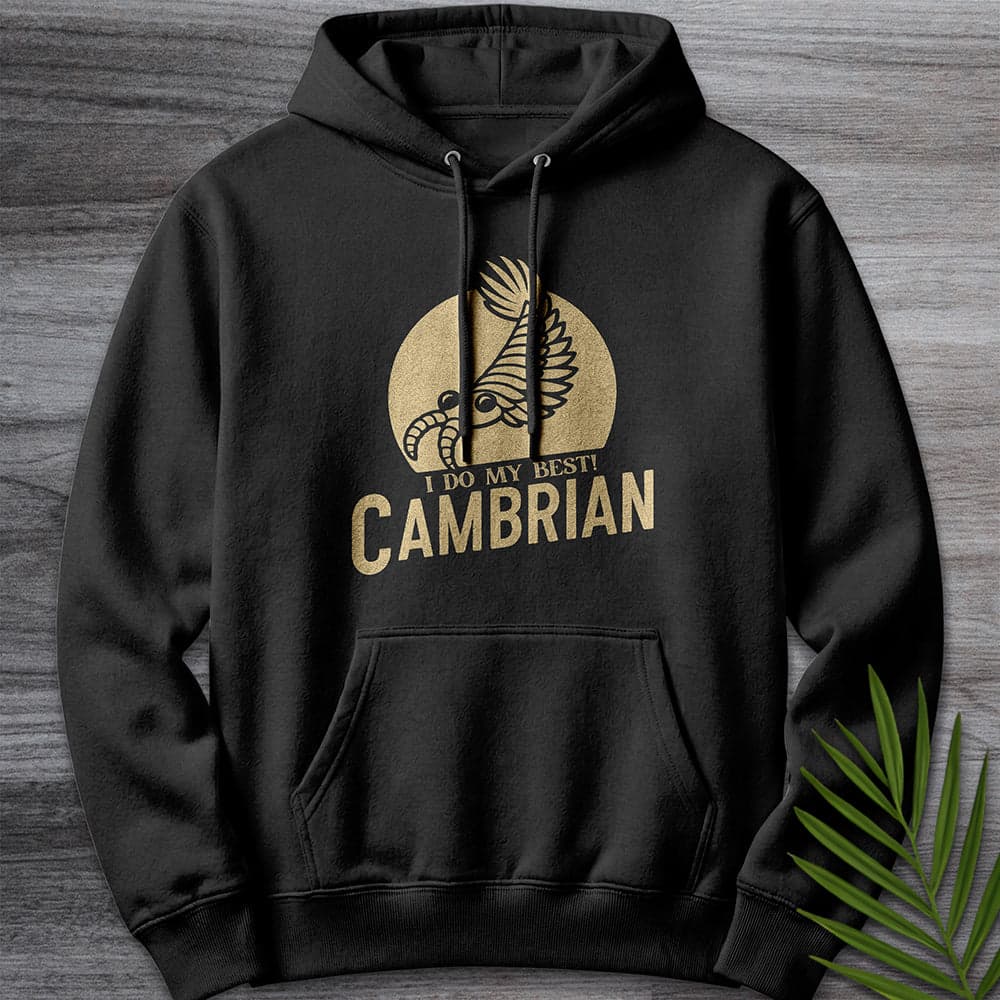 Hoodie XS / Black Cambrian: I Do My Best Premium Hoodie