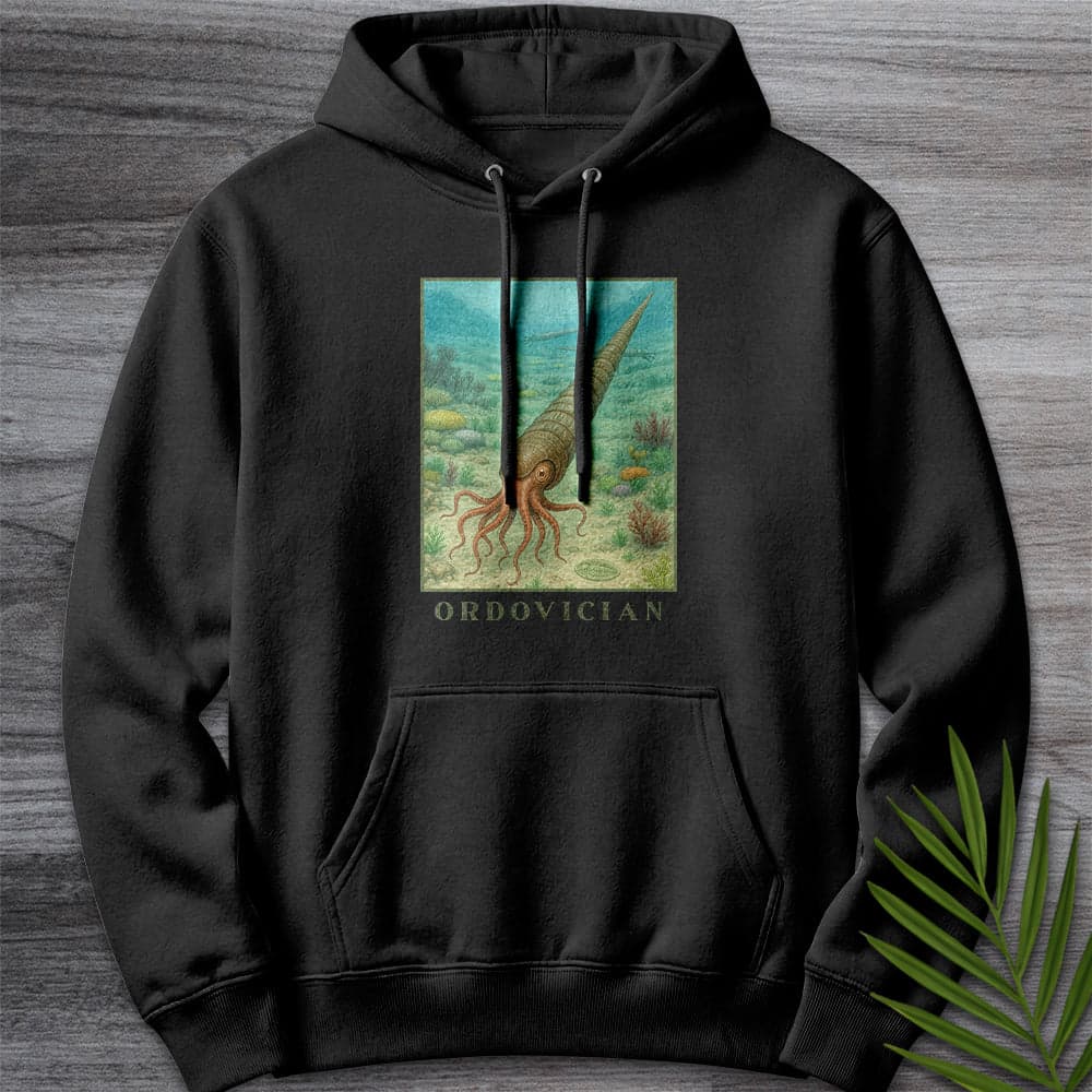 Hoodie XS / Black Ordovician Depths Premium Hoodie