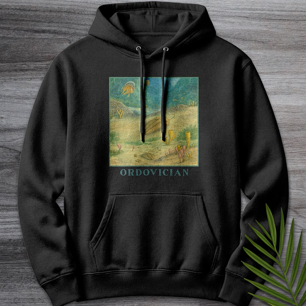 Hoodie XS / Black Ordovician Seafloor Premium Hoodie