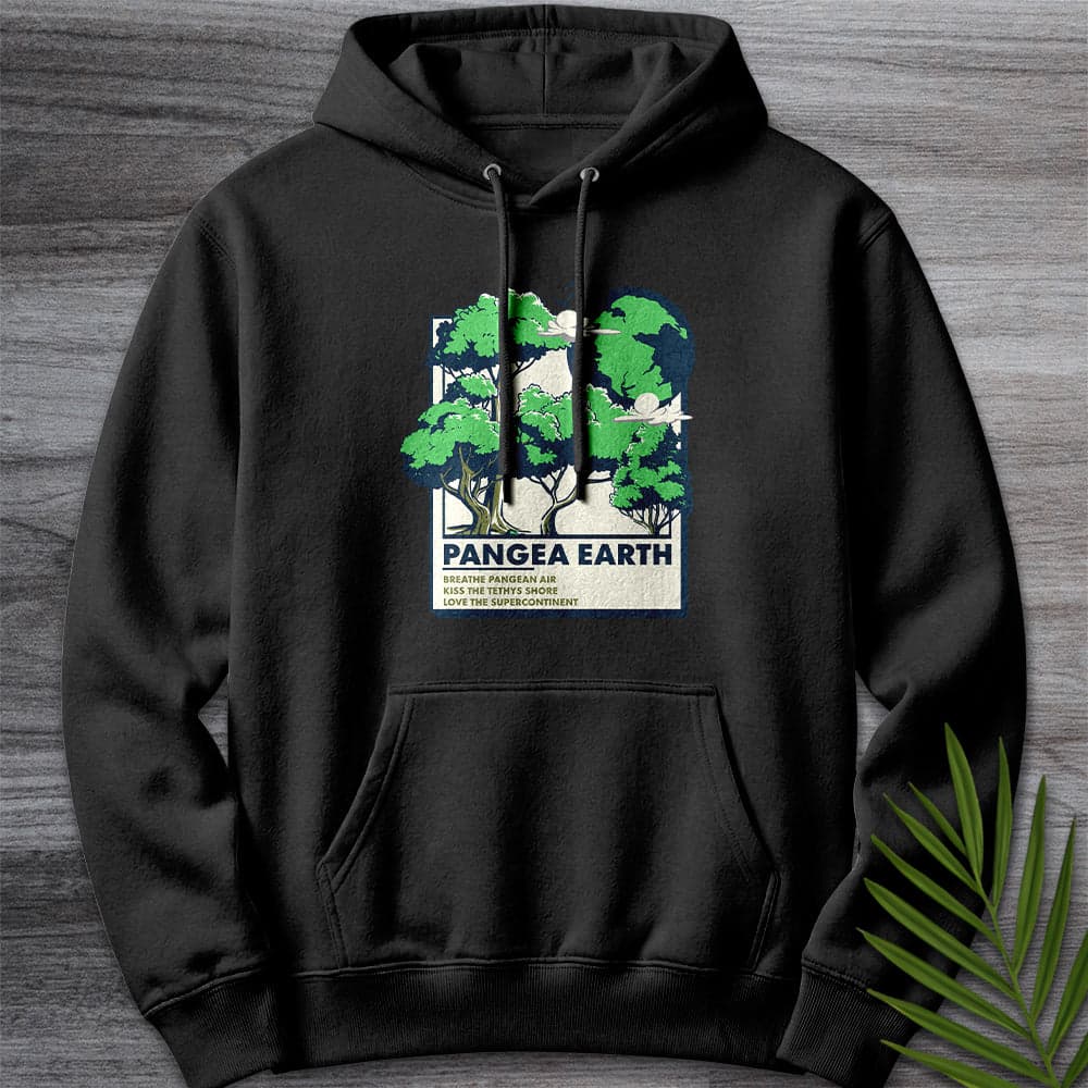 Hoodie XS / Black Pangea Earth Illustration Premium Hoodie