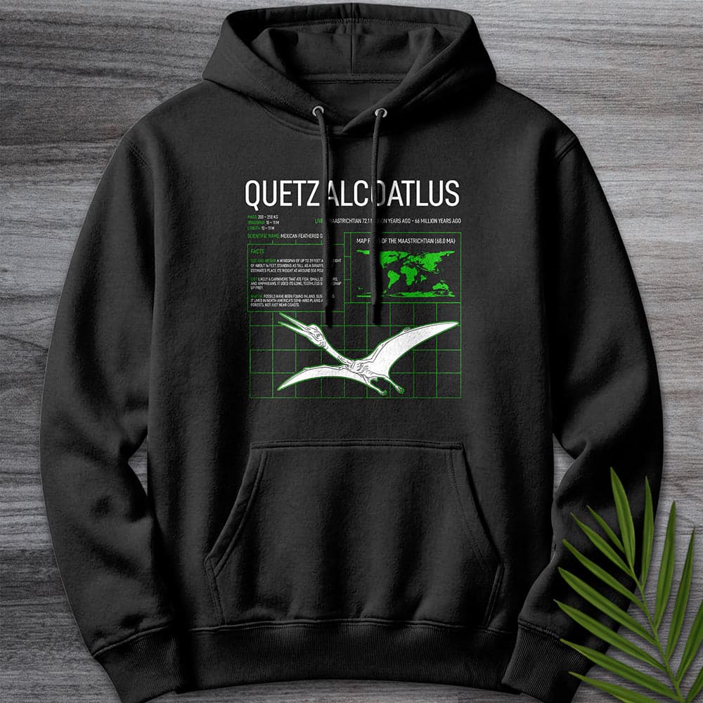 Hoodie XS / Black Quetzalcoatlus Grid Premium Hoodie