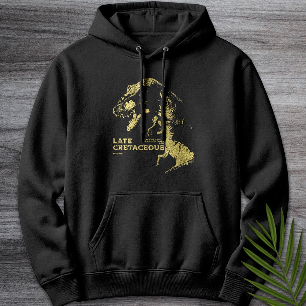 Hoodie XS / Black Vintage Raptor Attack Premium Hoodie