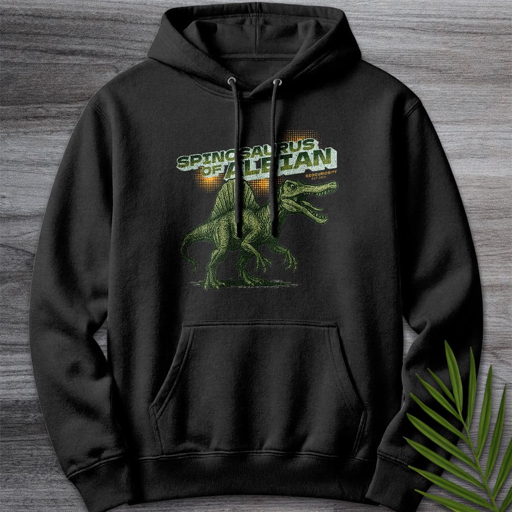 Hoodie XS / Black Vintage Spinosaurus of Albian Premium Hoodie