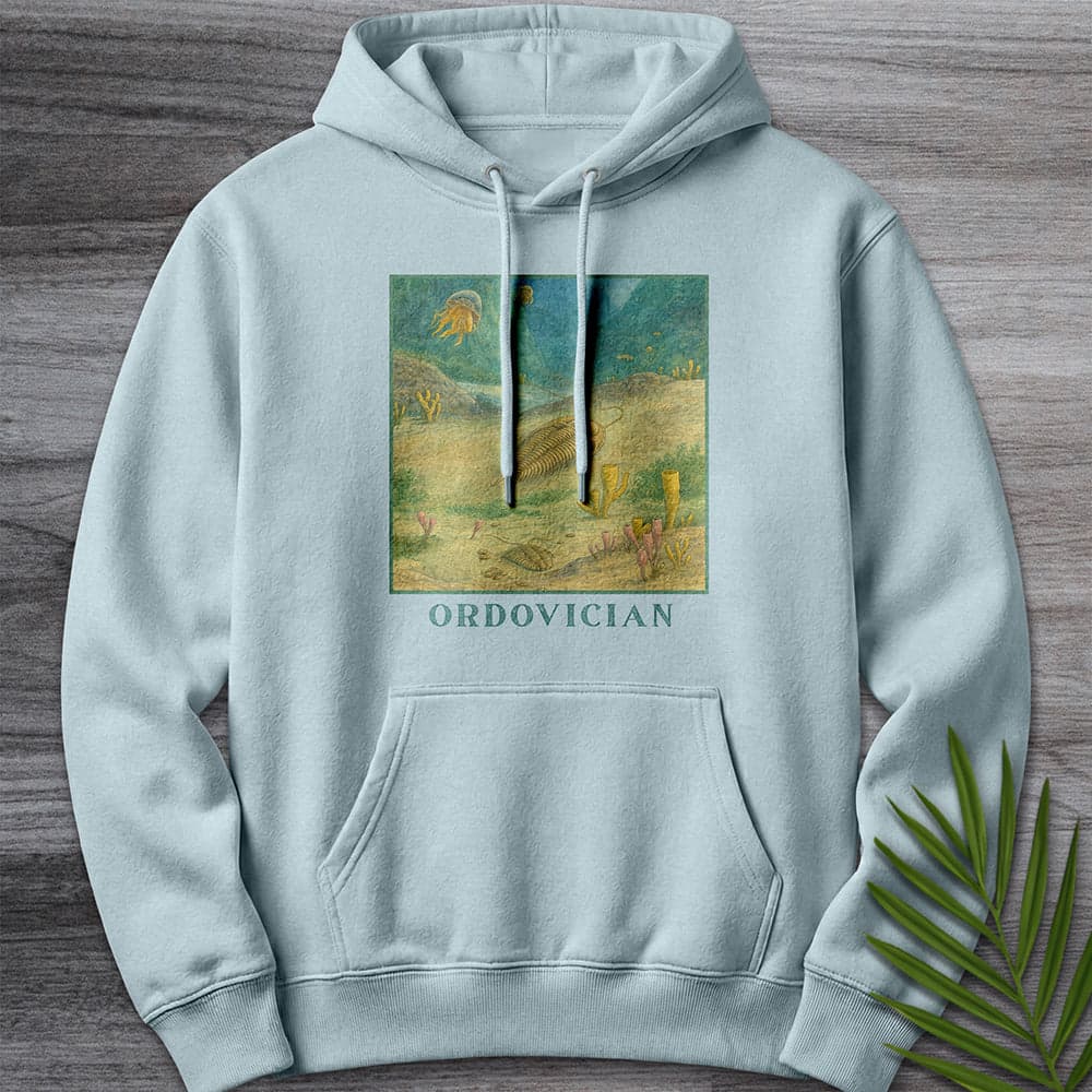 Hoodie XS / Blue Mist Ordovician Seafloor Premium Hoodie