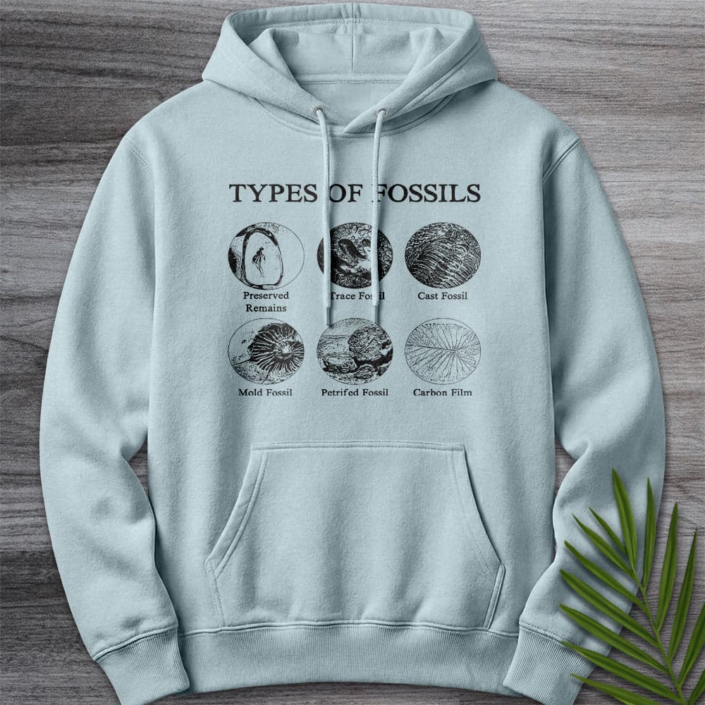 Hoodie XS / Blue Mist Types of Fossils Premium Hoodie
