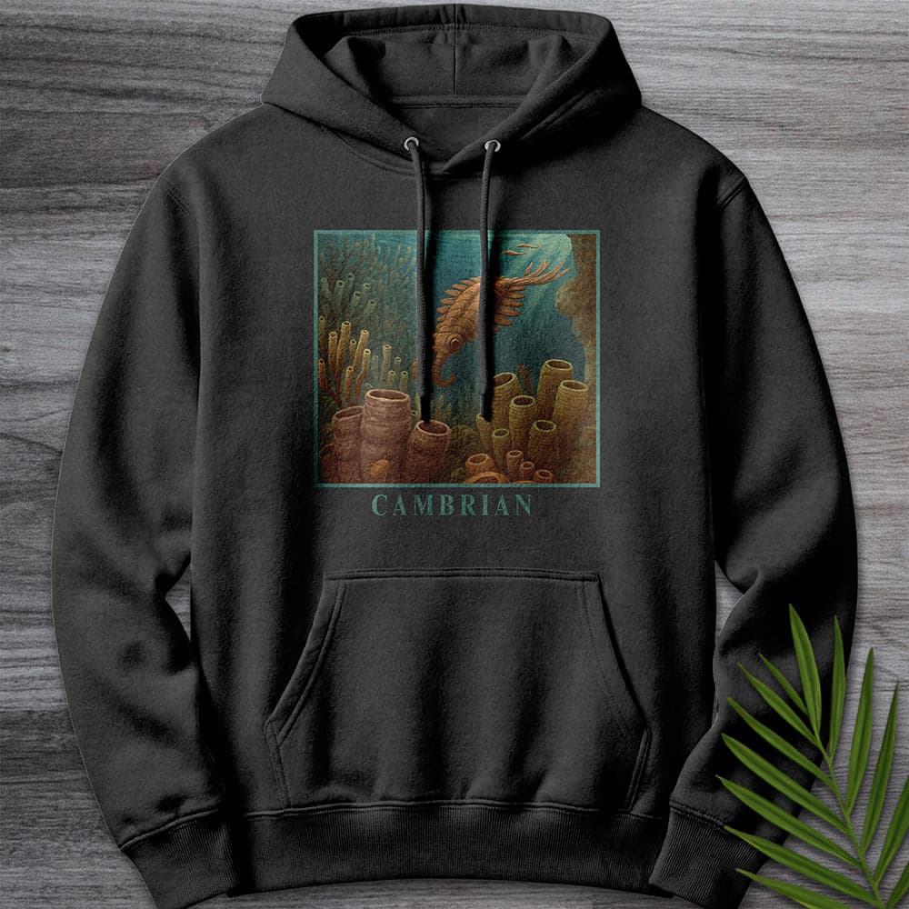 Hoodie XS / Charcoal Heather Anomalocaris Cambrian Oceanscape Premium Hoodie