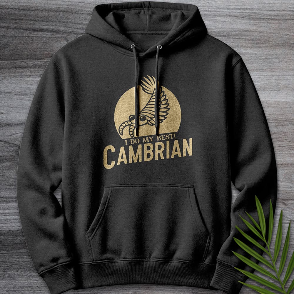 Hoodie XS / Charcoal Heather Cambrian: I Do My Best Premium Hoodie