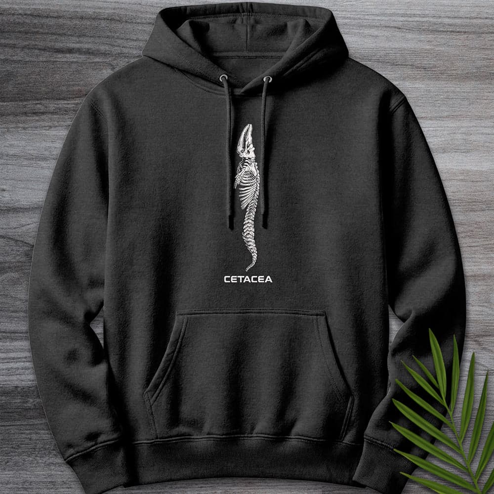 Hoodie XS / Charcoal Heather Cetacea Whale Skeleton Premium Hoodie