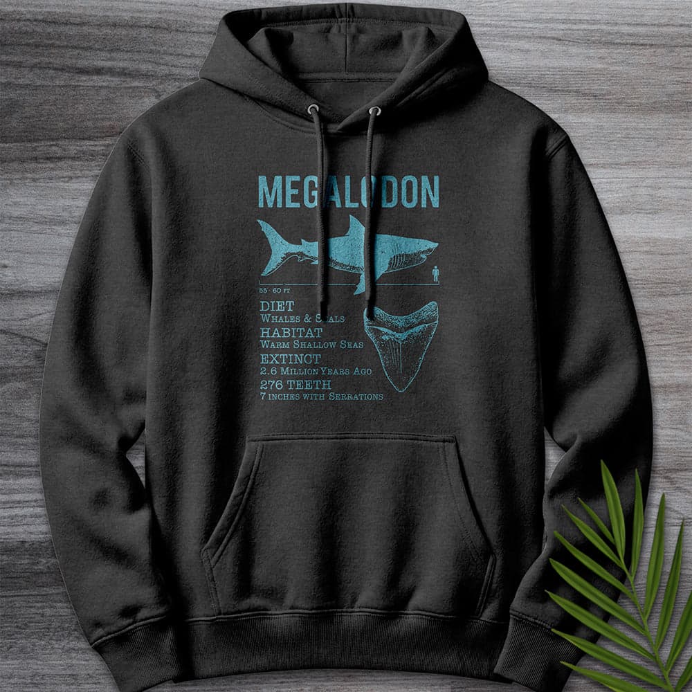 Hoodie XS / Charcoal Heather Megalodon: Leviathan of the Shallows Premium Hoodie