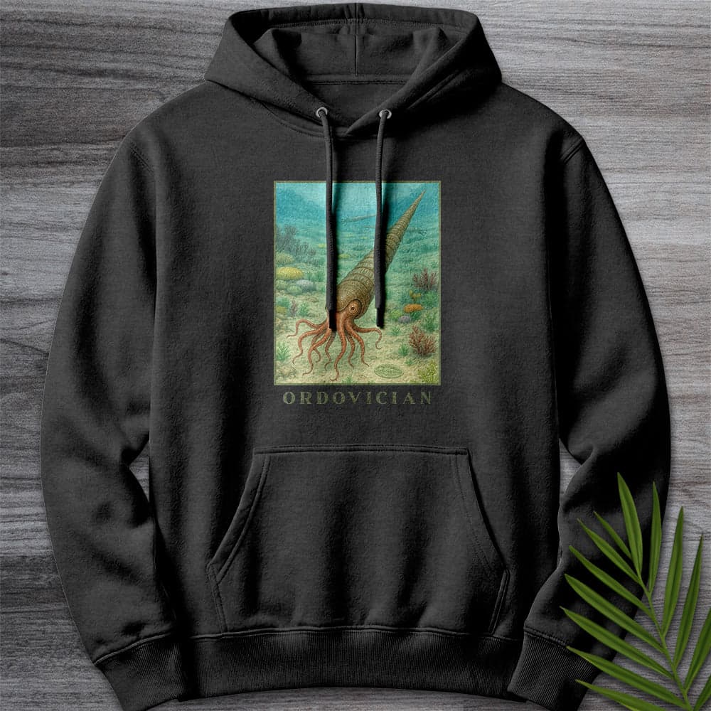 Hoodie XS / Charcoal Heather Ordovician Depths Premium Hoodie