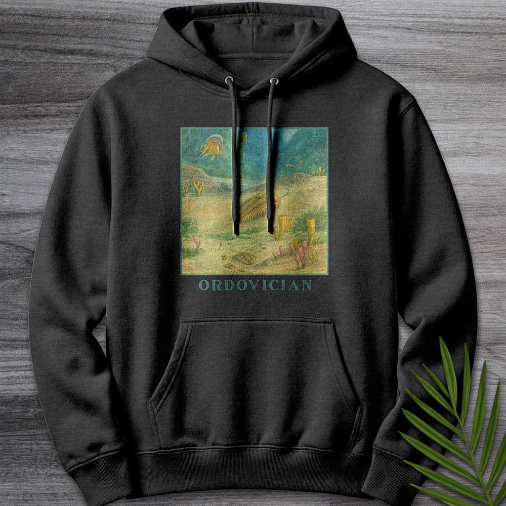 Hoodie XS / Charcoal Heather Ordovician Seafloor Premium Hoodie