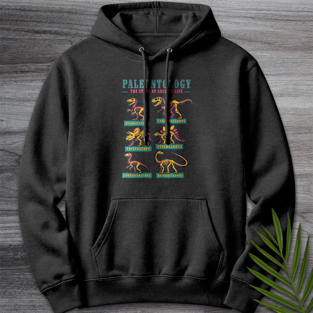 Hoodie XS / Charcoal Heather Paleontology Vintage Fossil Names Premium Hoodie