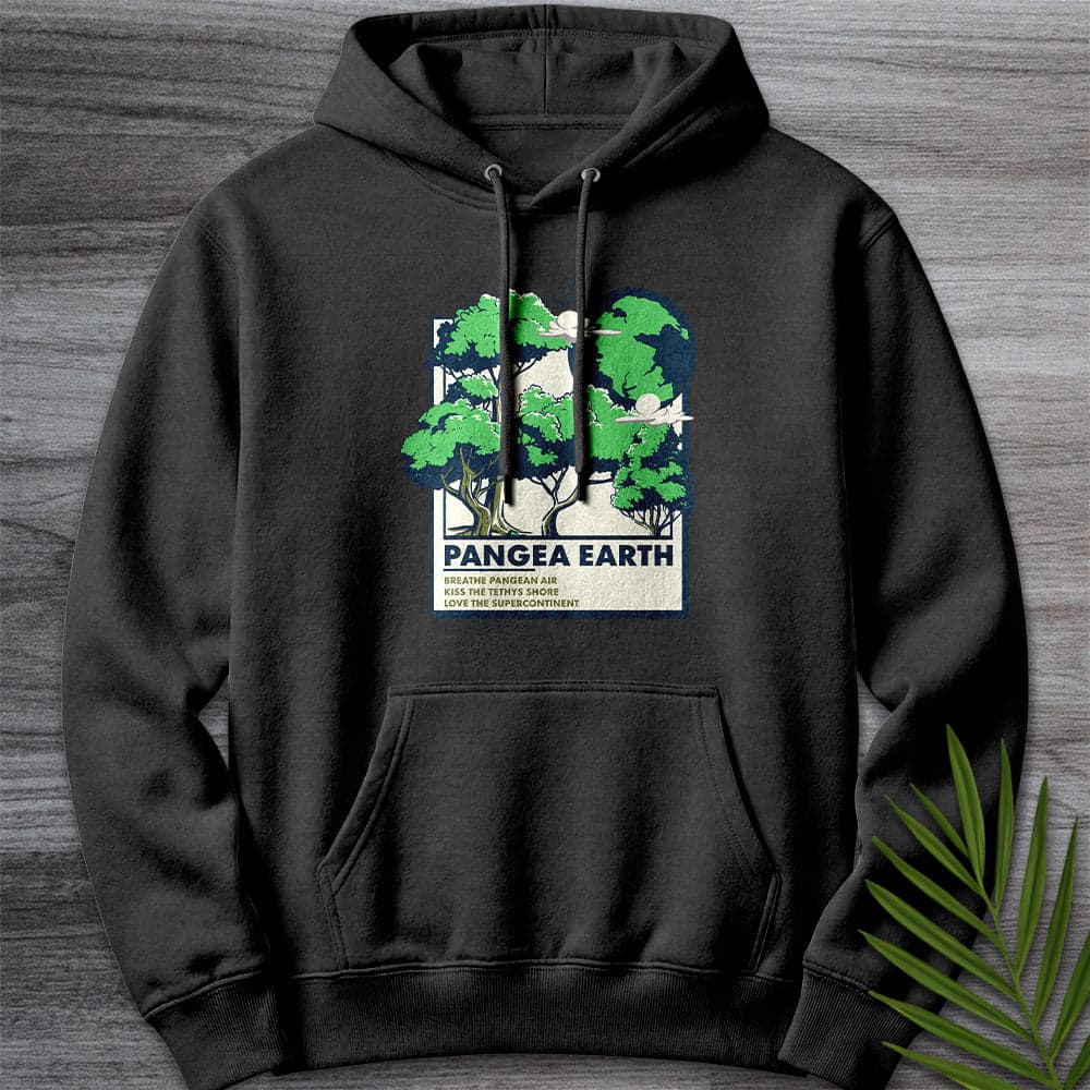 Hoodie XS / Charcoal Heather Pangea Earth Illustration Premium Hoodie