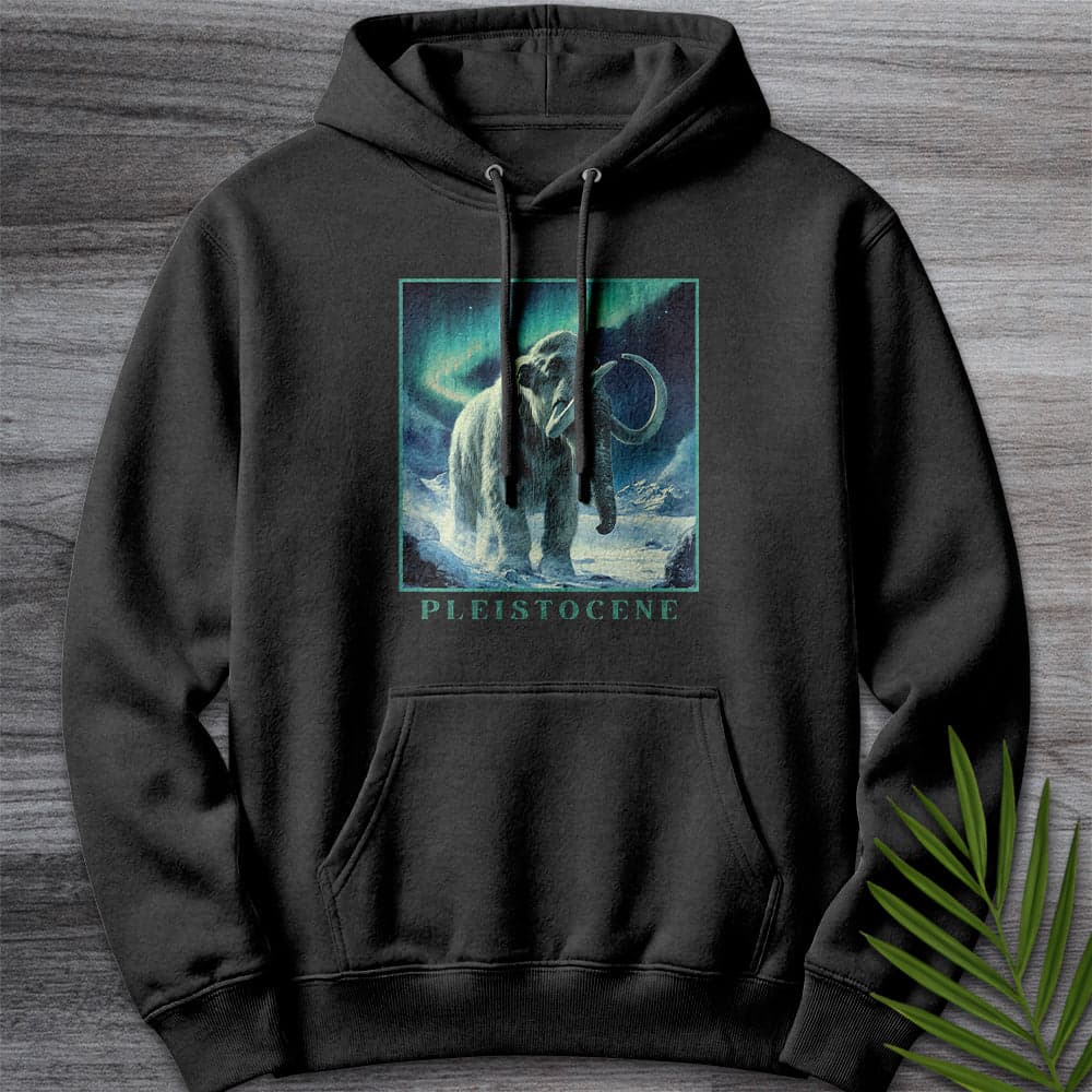 Hoodie XS / Charcoal Heather Pleistocene Megafauna Ice Age Premium Hoodie