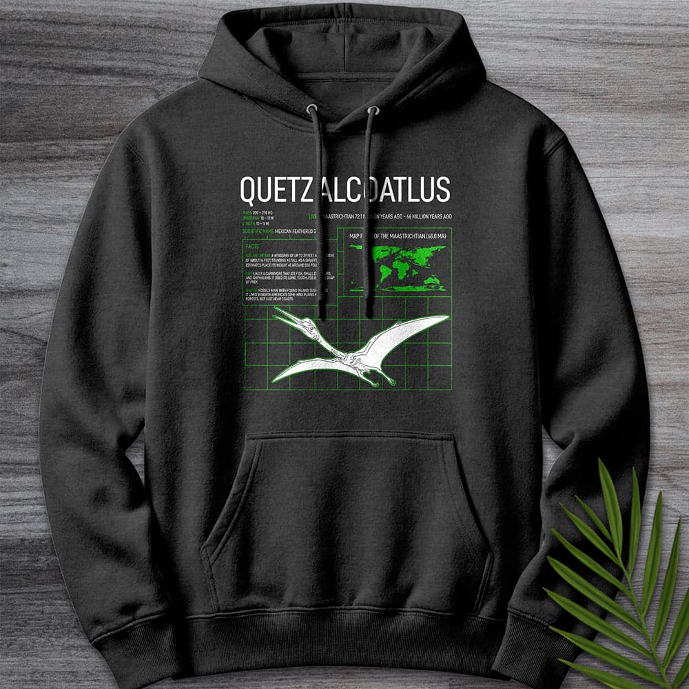 Hoodie XS / Charcoal Heather Quetzalcoatlus Grid Premium Hoodie