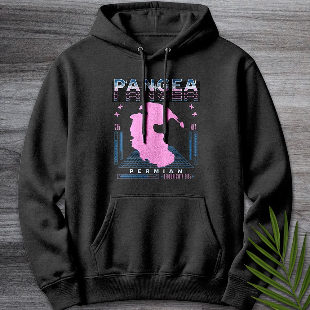 Hoodie XS / Charcoal Heather Vintage Cyber Pangea Streetwear Premium Hoodie