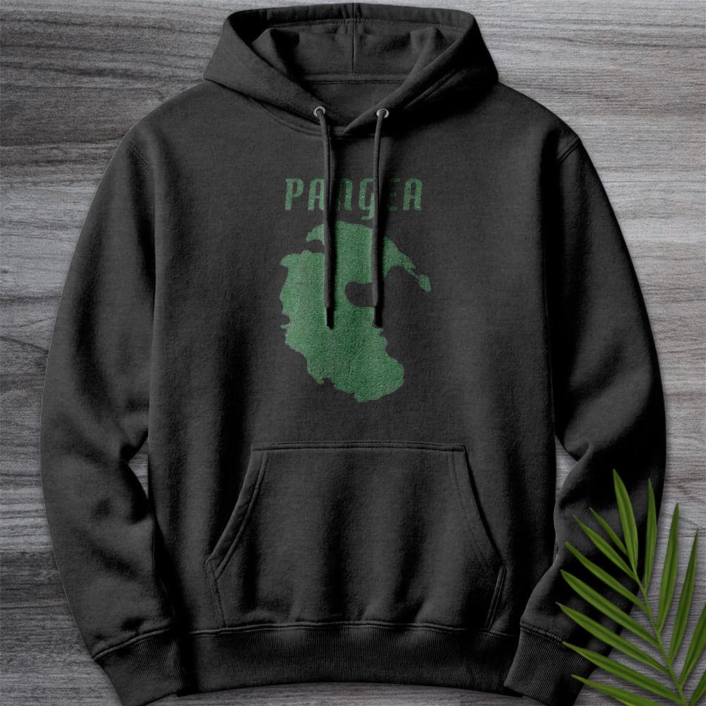 Hoodie XS / Charcoal Heather Vintage Distressed Pangea Premium Hoodie